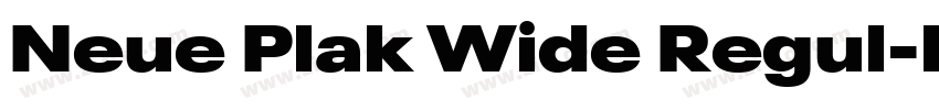 Neue Plak Wide Regul字体转换